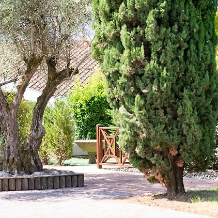 Amarena Apartman