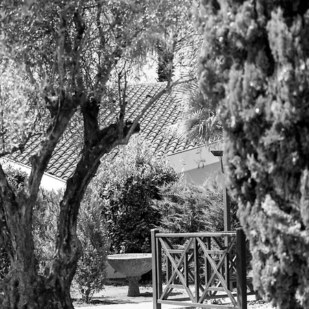 Apartman Amarena